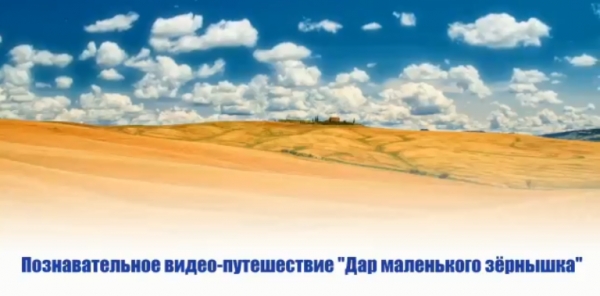 Түйір нан- тамшы тер