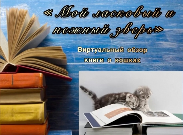 «Мой ласковый и нежный зверь»